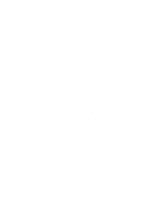 WiseWater Plumbing logo
